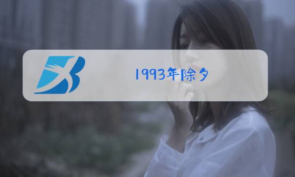 1993年除夕图片