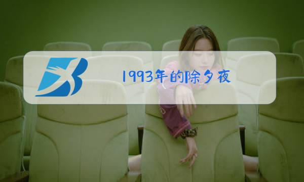 1993年的除夕夜图片