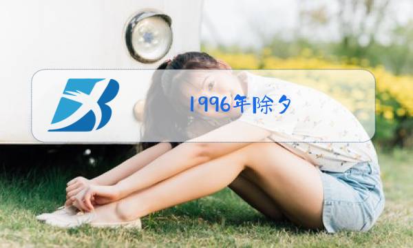 1996年除夕图片