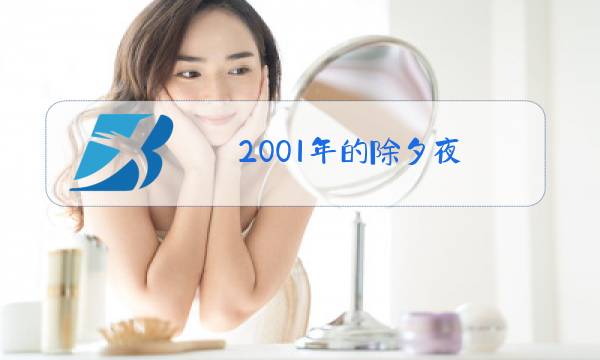 2001年的除夕夜图片