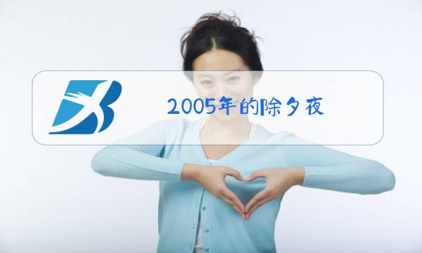 2005年的除夕夜图片