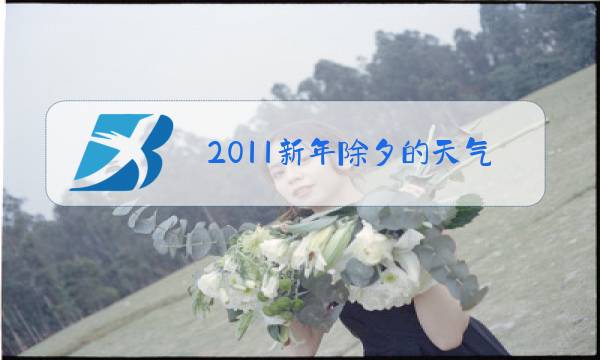 2011新年除夕的天气预报图片