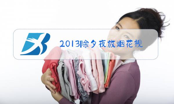 2013除夕夜放烟花视频图片