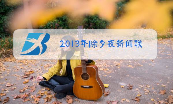 2013年除夕夜新闻联播图片