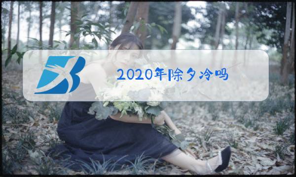 2020年除夕冷吗图片