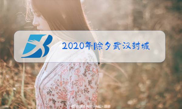 2020年除夕武汉封城图片