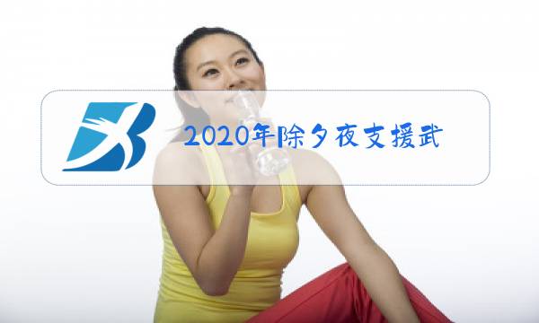 2020年除夕夜支援武汉视频图片