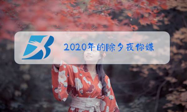 2020年的除夕夜你嫌他嘈杂,歌曲图片