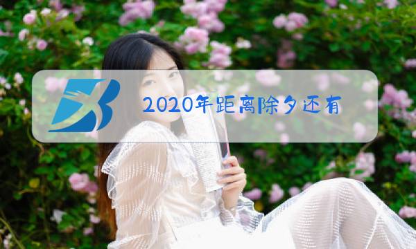 2020年距离除夕还有多少天图片