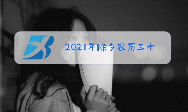 2021年除夕农历三十图片