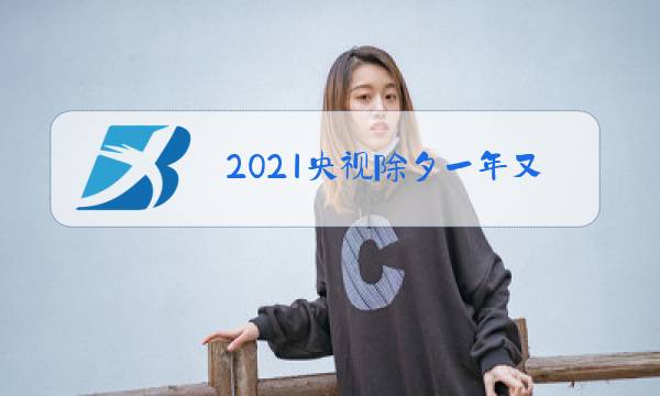 2021央视除夕一年又一年做客图片