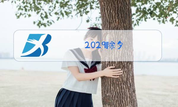 2029除夕图片