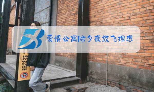 爱情公寓除夕夜放飞理想的有志青年是哪一集图片