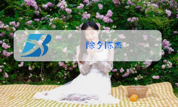 除夕陈杰