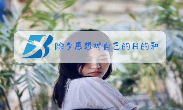 除夕感想对自己的目的和目标图片