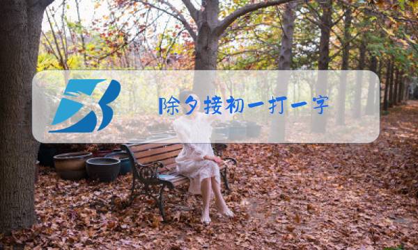 除夕接初一打一字图片