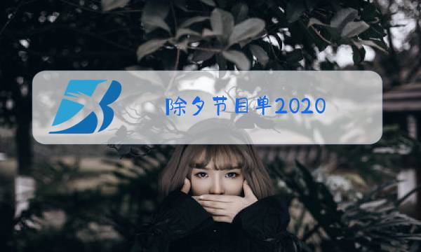 除夕节目单2020图片