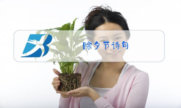 除夕节诗句图片
