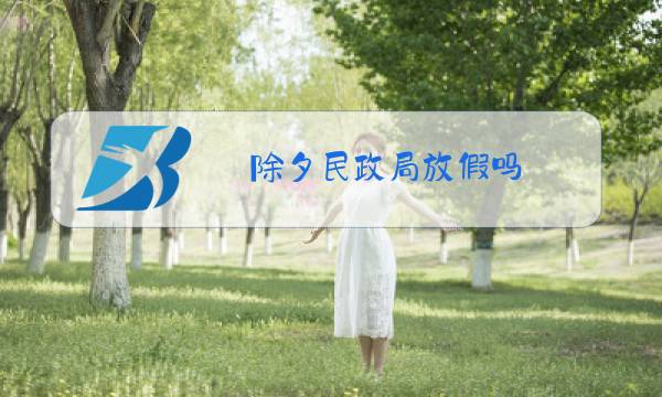 除夕民政局放假吗图片