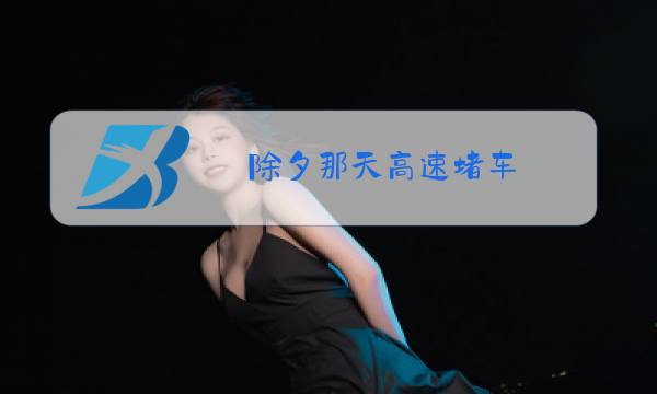 除夕那天高速堵车图片