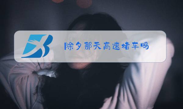 除夕那天高速堵车吗图片