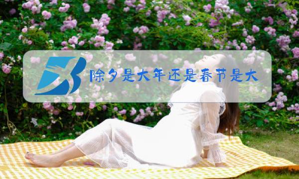 除夕是大年还是春节是大年图片