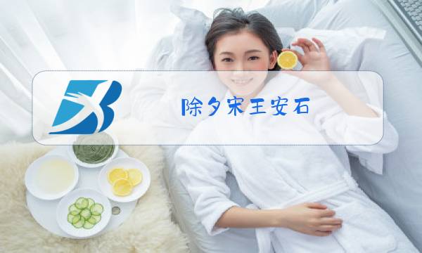 除夕宋王安石图片