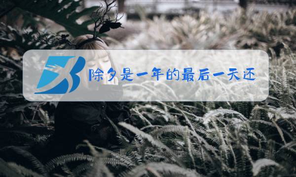 除夕是一年的最后一天还是新的一年图片