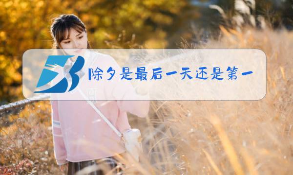 除夕是最后一天还是第一天图片