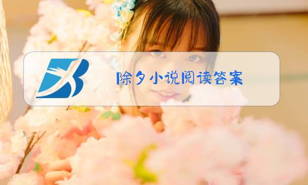 除夕小说阅读答案图片