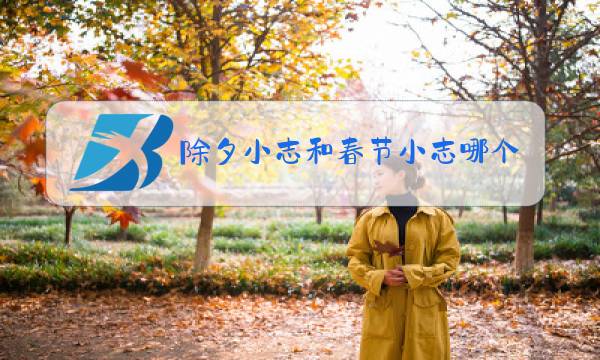 除夕小志和春节小志哪个好看图片