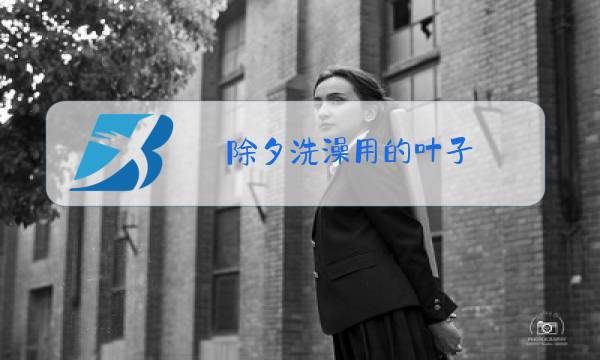 除夕洗澡用的叶子图片