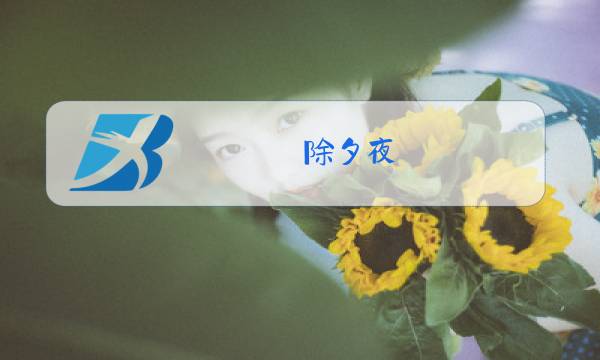 除夕夜,零点的钟声敲响,宣告着新年的来临的小说