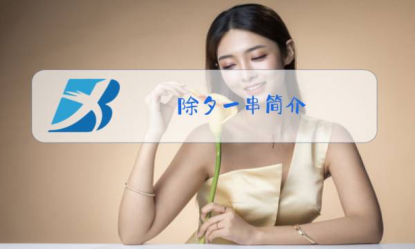 除夕一串简介图片