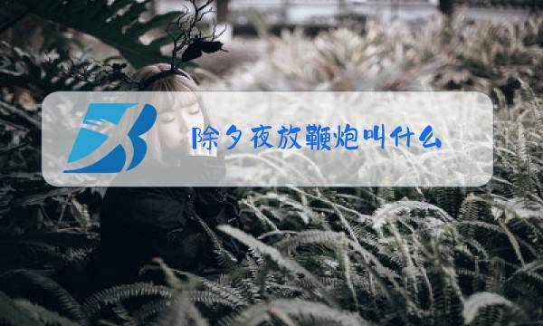 除夕夜放鞭炮叫什么图片
