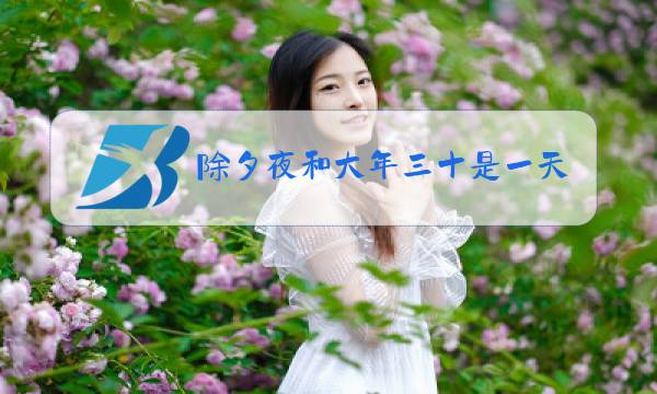除夕夜和大年三十是一天吗图片