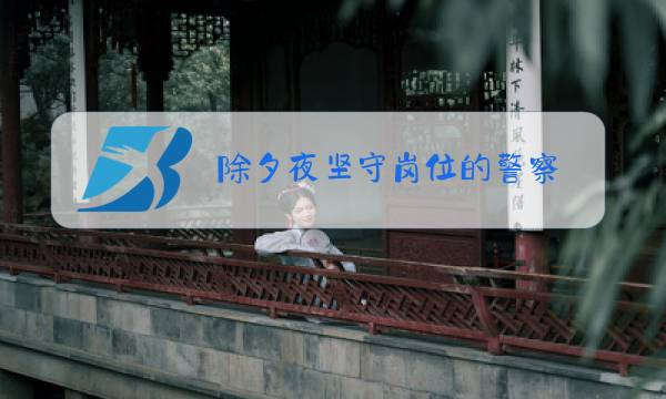 除夕夜坚守岗位的警察图片