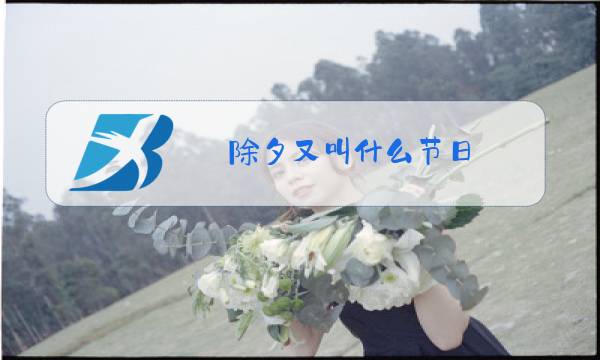 除夕又叫什么节日图片