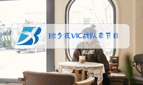 除夕夜VIC战队章节目录图片
