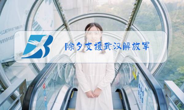 除夕支援武汉解放军图片