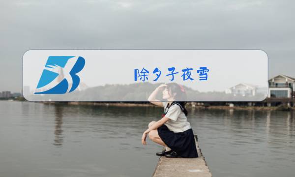 除夕子夜雪图片