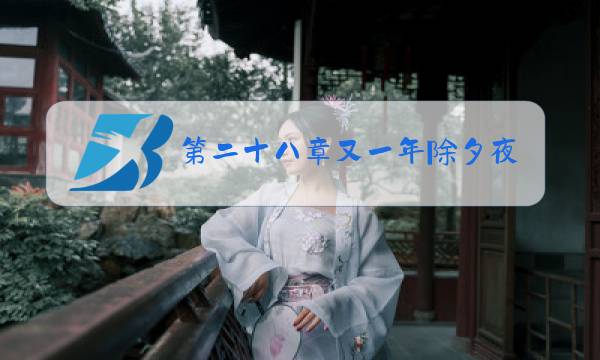 第二十八章又一年除夕夜图片
