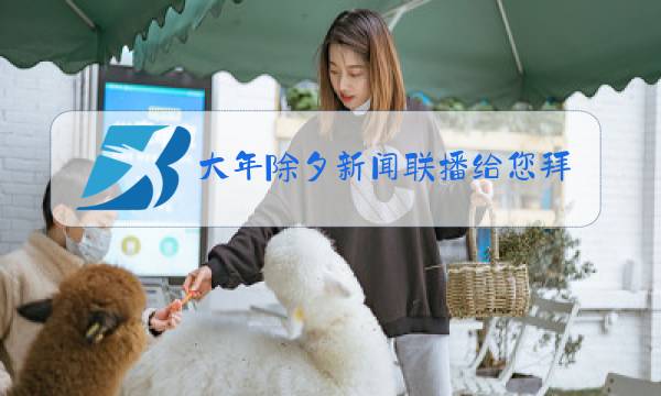 大年除夕新闻联播给您拜年了图片