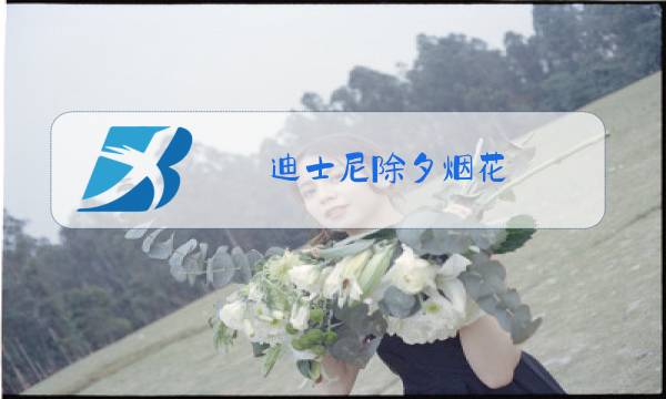 迪士尼除夕烟花图片