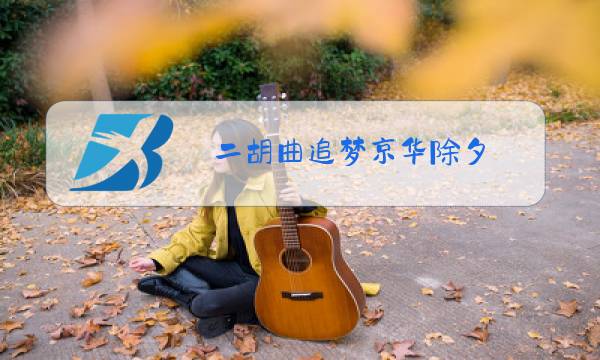 二胡曲追梦京华除夕图片