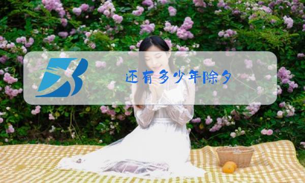 还有多少年除夕图片