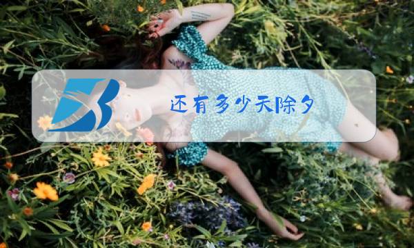 还有多少天除夕图片