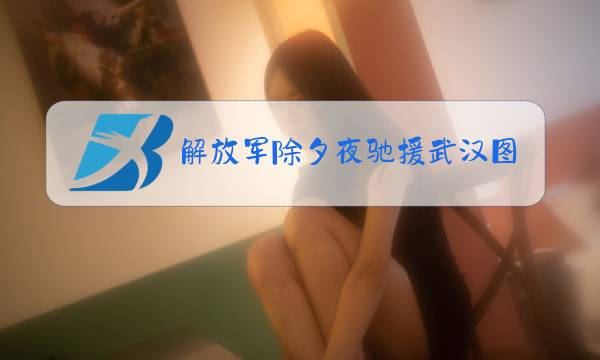 解放军除夕夜驰援武汉图片图片