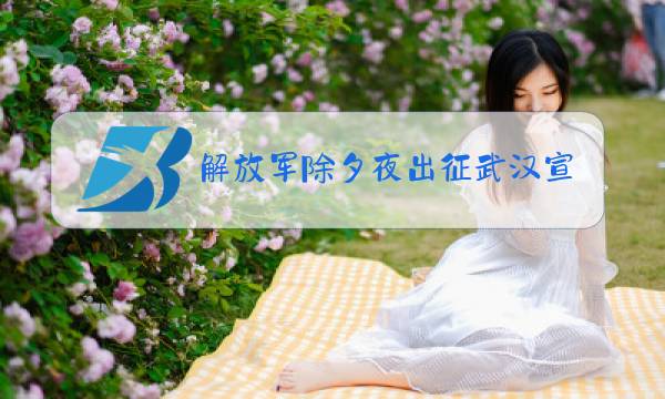 解放军除夕夜出征武汉宣誓图片