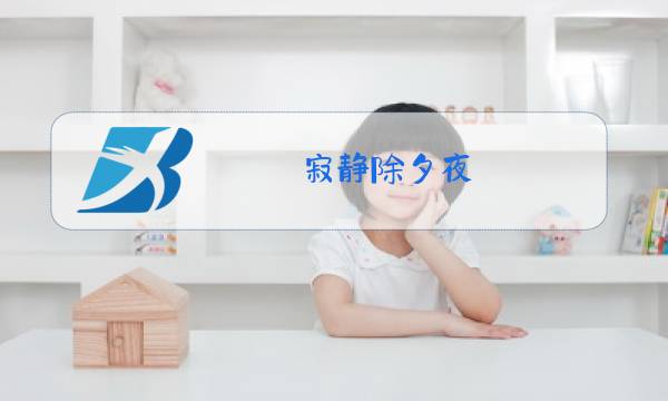 寂静除夕夜图片